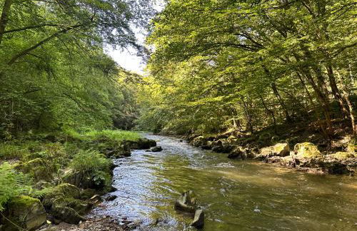 FeWo Burgblick - Foto 9