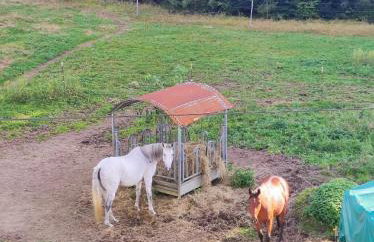 Helga's Candy Ranch - Foto 22