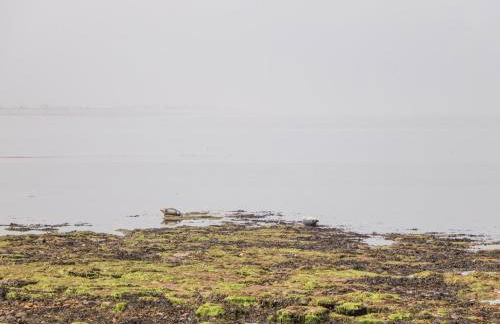 Corner Cottage - Foto 26