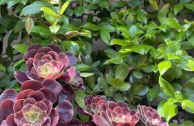 "Pier's House" - Attico a 3 chilometri dal Centro Città - Photo 21