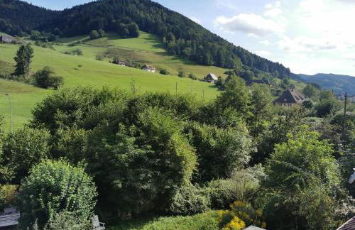 Ferienwohnung Vogelsang im Schwarzwald - Foto 56