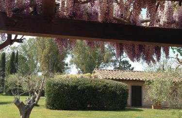 Fattoria Cirene - Foto 23