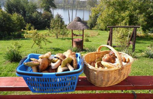 Pojezierze Drawskie Agroturystyka Greanna - Foto 64