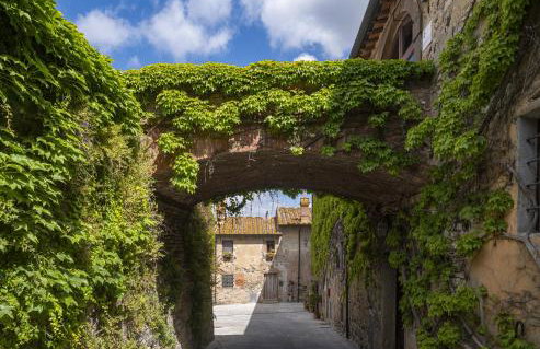 Castello Ginori Di Querceto - Foto 80