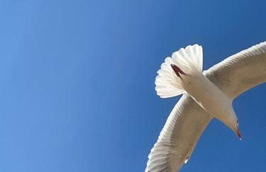 Atlantic Lodge - Foto 21