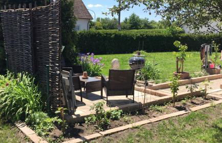 Jawa Organik - Foto 16