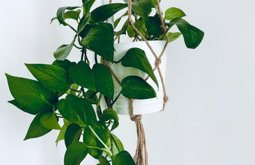 M4 WHITE Monolocale Moderno e Funzionale - Foto 19