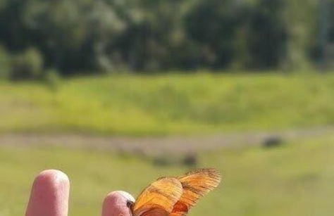 Tiny House Garden - Praia Grande - SC - Foto 39