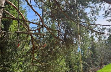 Alone in Chalet with view on Dolomites - Foto 15
