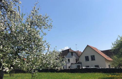 Ferienwohnung auf dem Land, Haus Hans Stepha - Foto 19