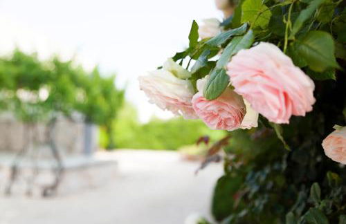 Masseria Lacatena - Foto 49