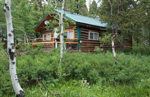 Remington Retreat by KABINO Dog Friendly FirePit Sleeper Sofa WiFi Grill - Foto 1