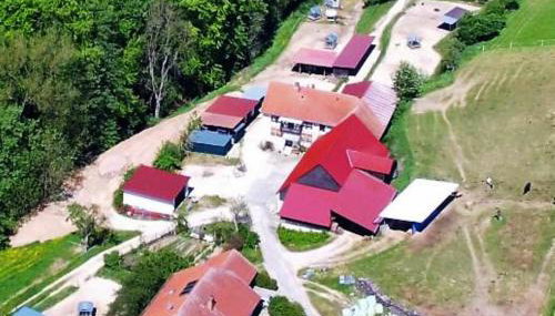 Pferdehof Dörsam - Foto 3