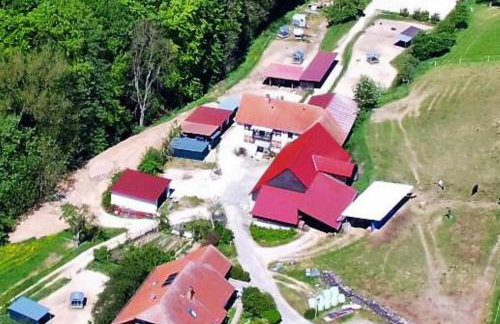 Pferdehof Dörsam - Photo 3