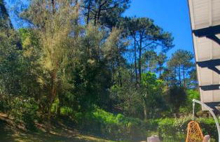 Magnifique Villa proche Golf & Centre d' Hossegor avec Jacuzzi - Foto 6