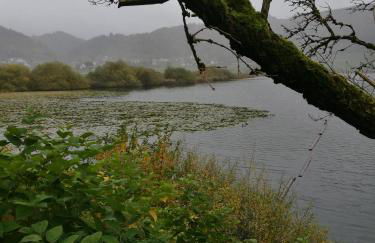 Haus Johannes - Foto 21