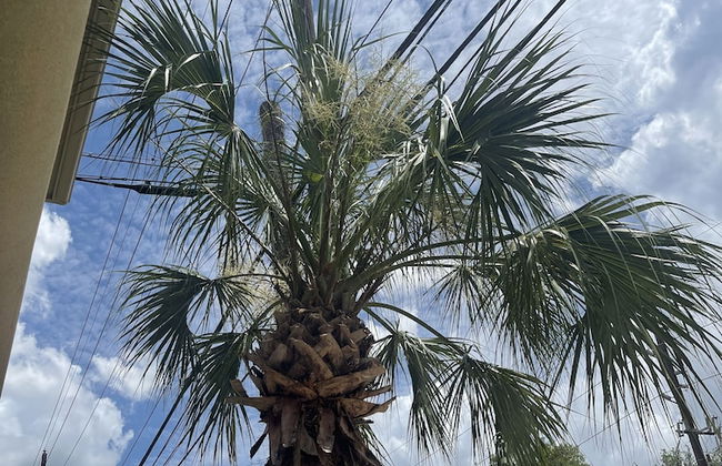 TUSCAN VILLA - Foto 71