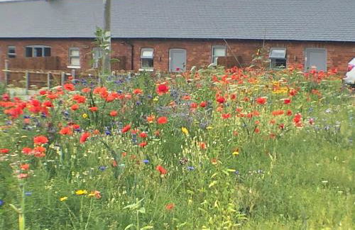 The Milking Parlour, Wolds Way Holiday Cottages, 1 bed cottage - Foto 1