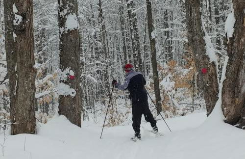 Spacious country retreat close to town and nature, Sylvana Farm VT - Foto 32