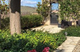 La Rose des Vins - Photo 27