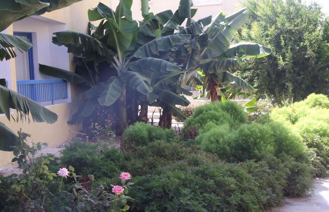 Kefalonitis Apartments - Foto 49