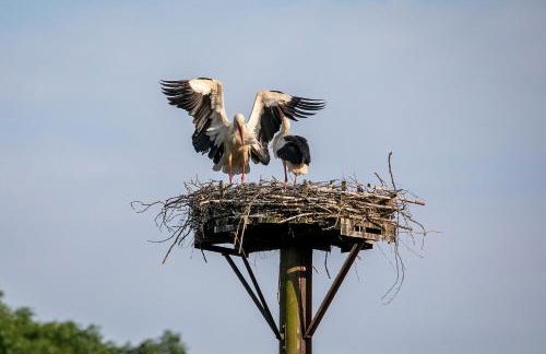 MCDreyer Ferienwohnung - Foto 56