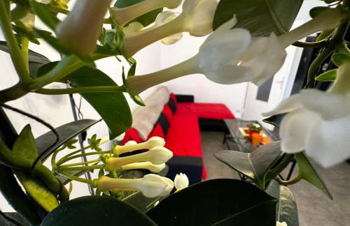 Les Dômes du Parc 4e App T3 et T1 proche de toutes commodités - Foto 19