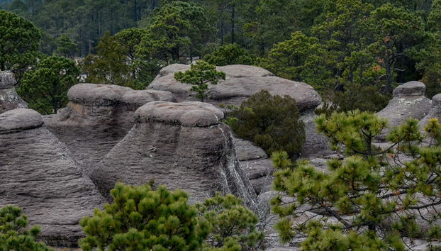 Excursion au Parc Naturel de Mexiquillo