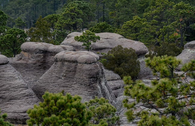 Excursión al Parque Natural Mexiquillo - Foto 4