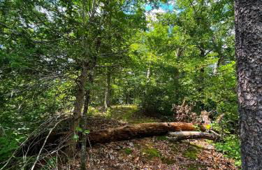 Tiny House, WIFI,Hot tub,Secluded - Foto 26