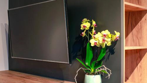 Apartament z ogrodem w centrum Limanowej - Foto 3