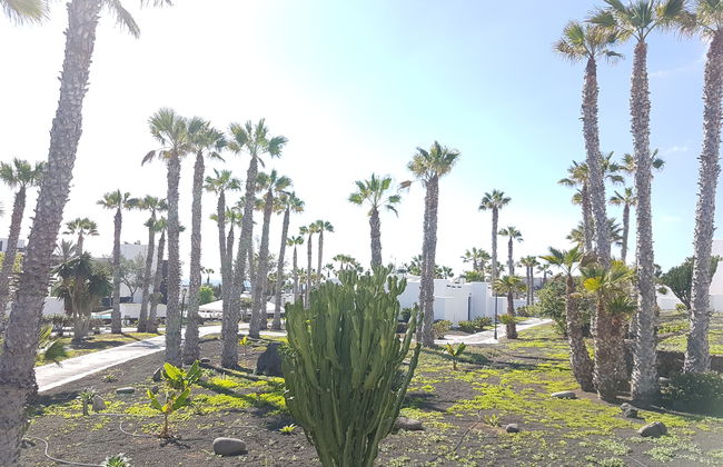 Palmeras Garden - Foto 35