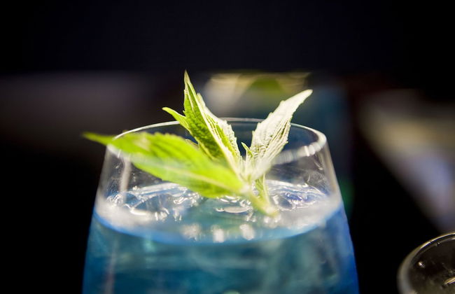 Rydges Mount Panorama Bathurst - Foto 45