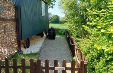 The Humble Hut - Photo 50