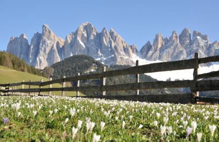 Living Puez - Photo 23