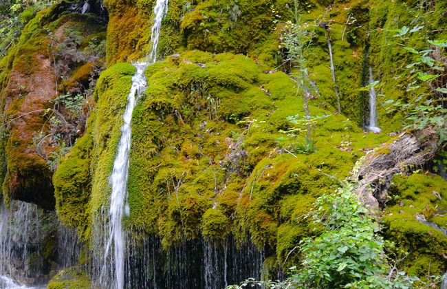 Hair of Venus Waterfalls Tour - Photo 1