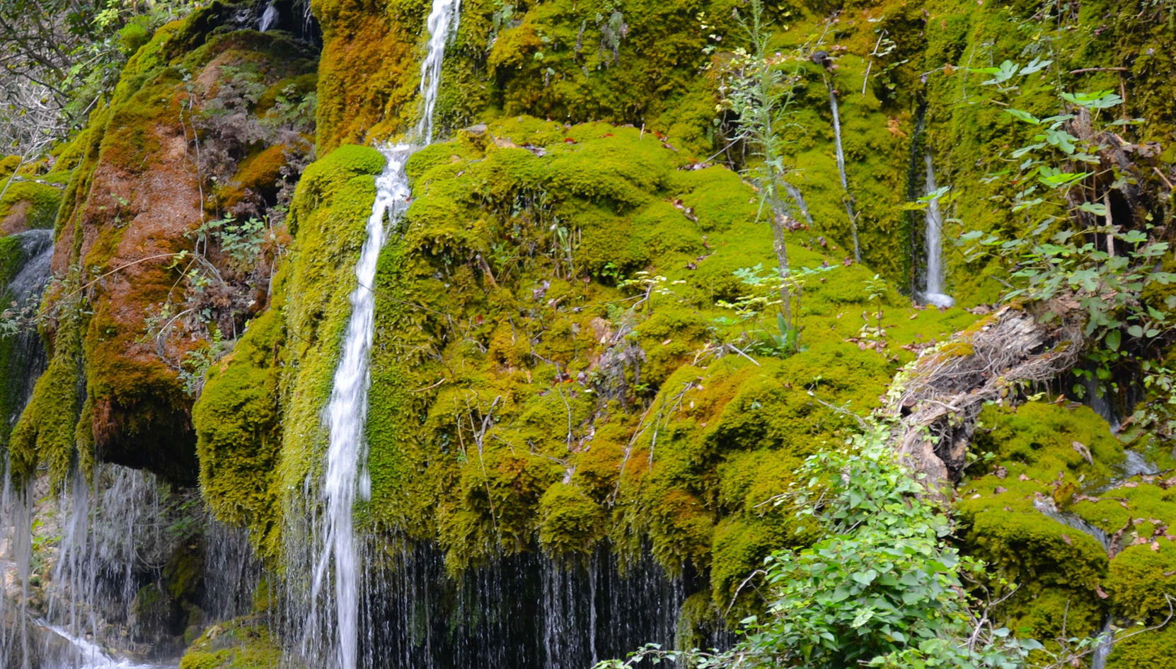 Hair of Venus Waterfalls Tour