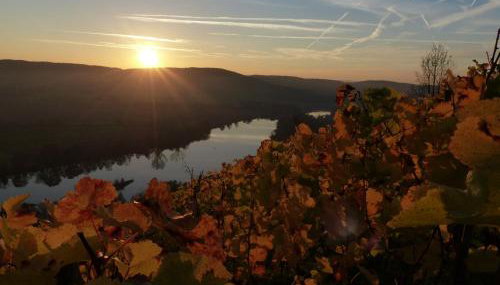 Main(schlaf)erlebnis - Foto 2