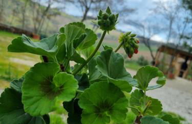 Agriturismo la casa degli amici - Foto 44