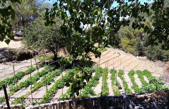 Akros Oreon Hotel - Photo 21