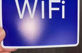 Ruzafa experience Oceanografic ciencias - Photo 60