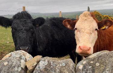 Andy's Home Cottage - Foto 17