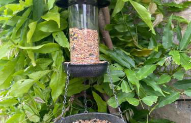 No 96 Chapel Lane - Self Contained Cottage In The Heart Of Butleigh - Photo 30