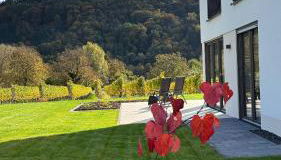 Haus im Weinberg - Foto 4, Garden