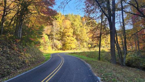 Lazy T Cabins - Acadia - Foto 3, Other