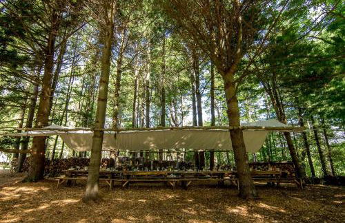 Gorgeous Fully Restored Caravan Nestled in the Trees Along Silver Lake for a Unique Vacation in Woodridge, New York - Foto 31