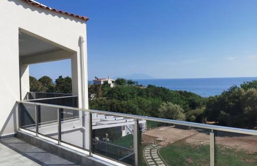 Platan Paradise - Foto 1