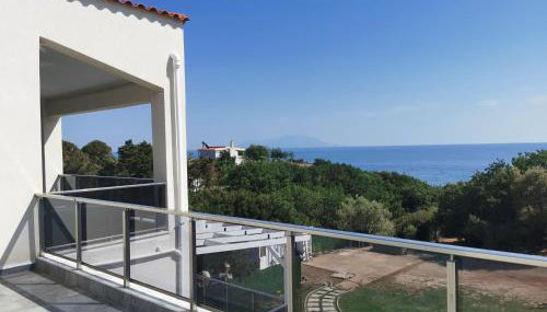 Platan Paradise - Foto 1