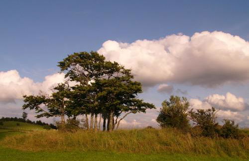 Waldläufer Brilon - Foto 39
