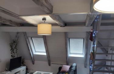 duplex aux portes de Strasbourg tram 100m - Foto 3